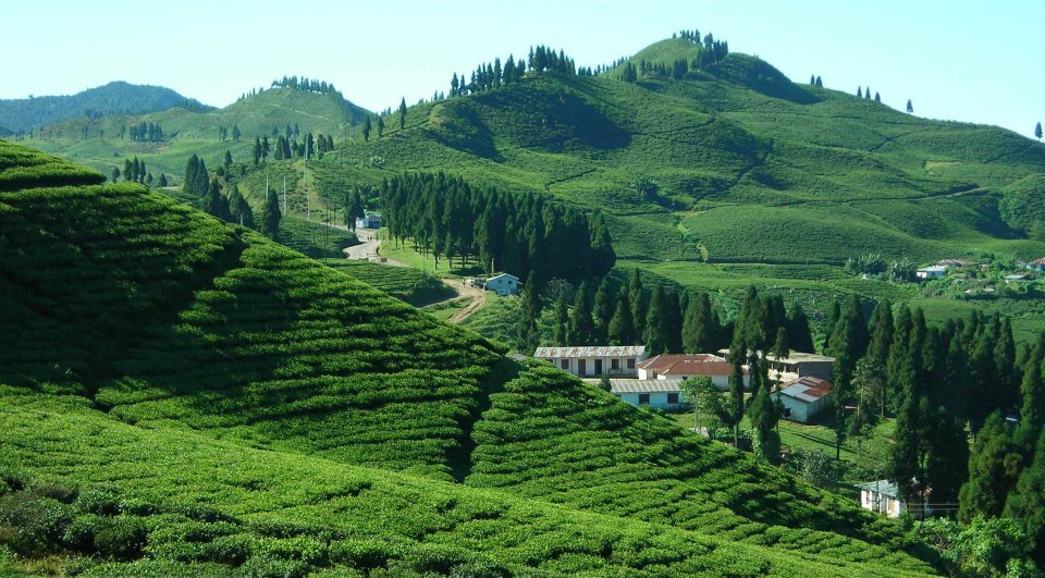 Darjeeling Tour Package